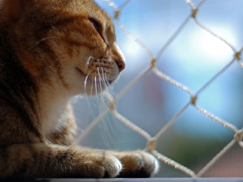 Instalação de redes de proteção em Teresina