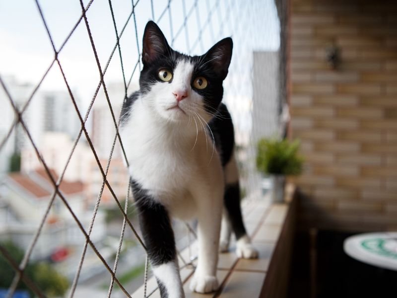 Instalação de rede de proteção em Teresina