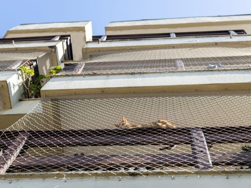 Tela de segurança de alta resistência em Teresina