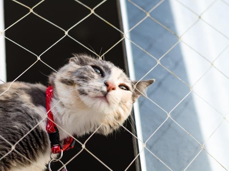 Telas de segurança para creches em Teresina