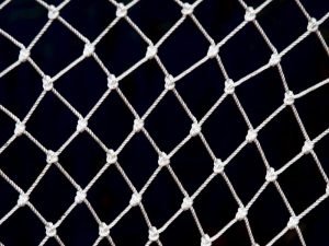 Redes de segurança para Gatos em Teresina