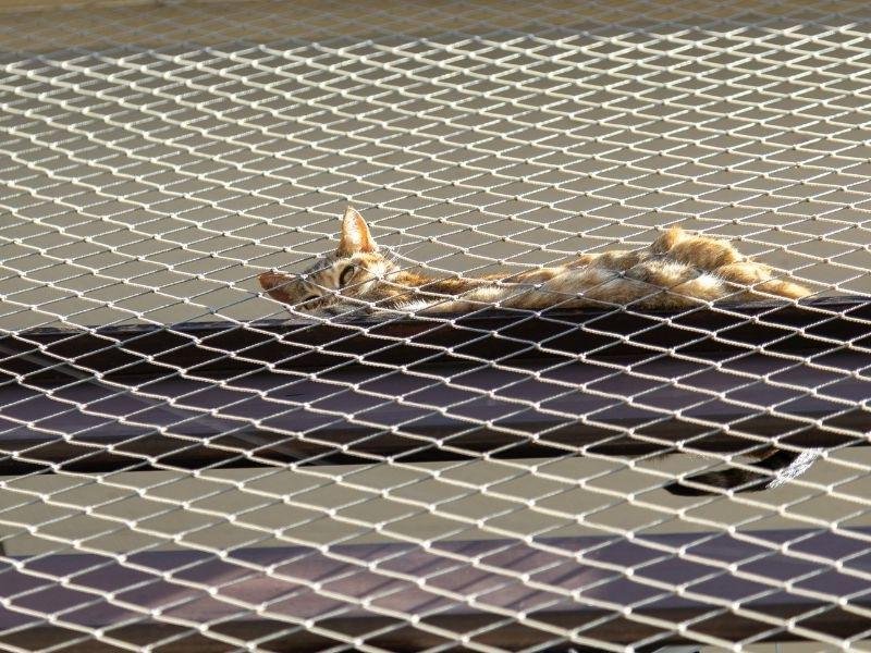 Instalação de Telas de proteção em Teresina