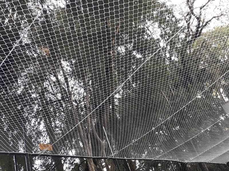 Rede de Proteção para Janelas Lagoa do Piauí Redes de Proteção Lagoa do Piauí
